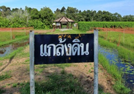 โครงการพระราชดำริ แกล้งดิน: พระอัจฉริยภาพด้านดิน ที่่คนไทยคว ... รูปภาพ 1